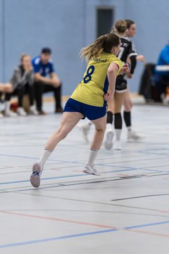Bild 189 - F HSG Pinnau2 - Rellinger TV2 : Ergebnis: 27:20